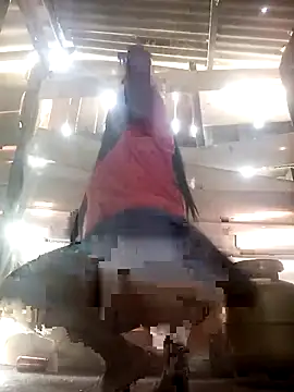 srtsara online show from 2, 4, 2026