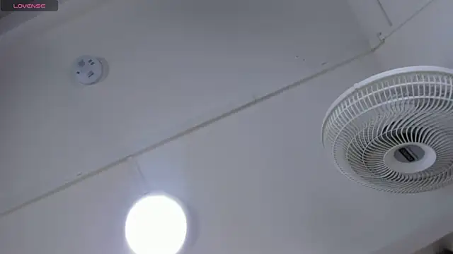 Snapshot of VICTORIAGRAYS chatting on 11, 10, 2025 VICTORIAGRAYS online show from 11, 10, 2025