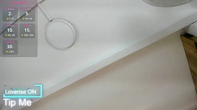 Snapshot of VICTORIAGRAYS chatting on 29, 11, 2025 VICTORIAGRAYS online show from 29, 11, 2025