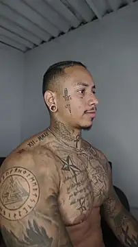 Snapshot of David_tatto1 chatting on 21, 5, 2026 David tatto1 online show from 21, 5, 2026