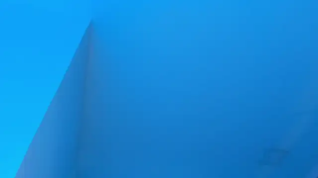 Sebax Young online show from 17, 1, 2026