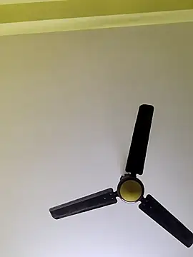 radhika2 online show from 4, 12, 2025