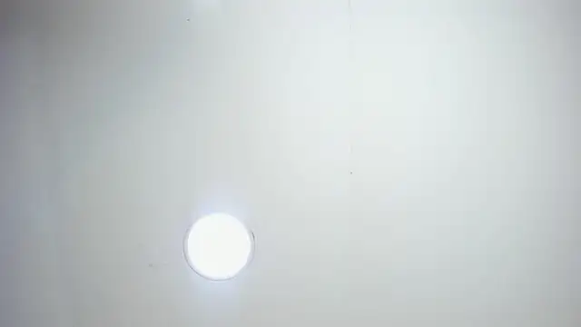 Kenishax  online show from 22, 9, 2025