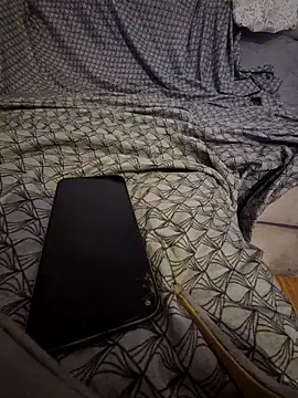 pikuslordpll online show from 26, 4, 2026