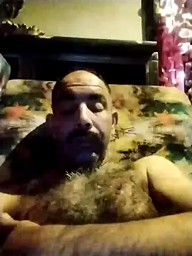 salimbasha online show from 23, 10, 2025