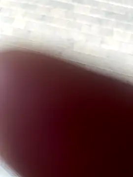 Snapshot of kamo012000 chatting on 9, 10, 2025 kamo012000 online show from 9, 10, 2025