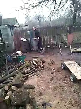 Alexilon online show from 7, 1, 2026