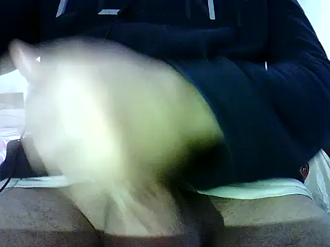 photo3995 online show from 12, 1, 2026