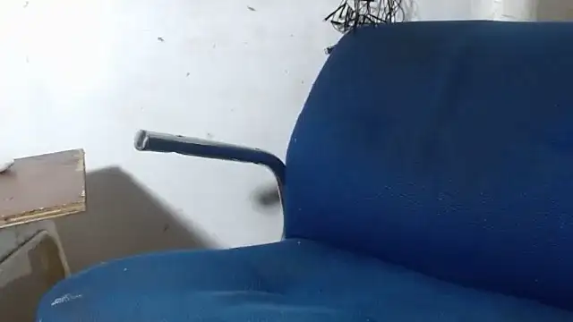 BebaFoxx online show from 26, 11, 2025