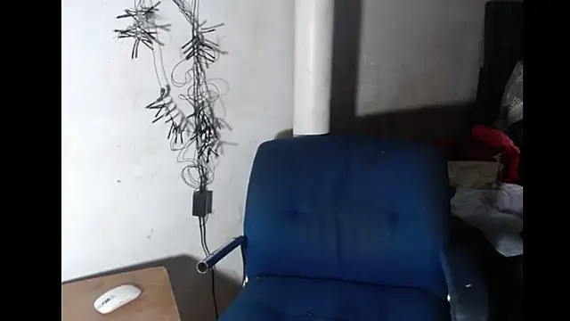 BebaFoxx online show from 8, 2, 2026