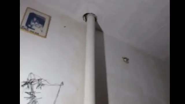 BebaFoxx online show from 3, 3, 2026