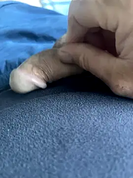 Snapshot of BobKat chatting on 5, 10, 2025 BobKat online show from 5, 10, 2025