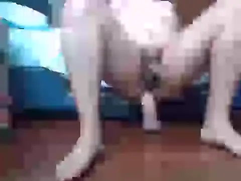 Culazodeantonellarocuzzo online show from 15, 9, 2025