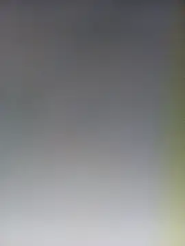 Reeta-rani online show from 31, 10, 2025