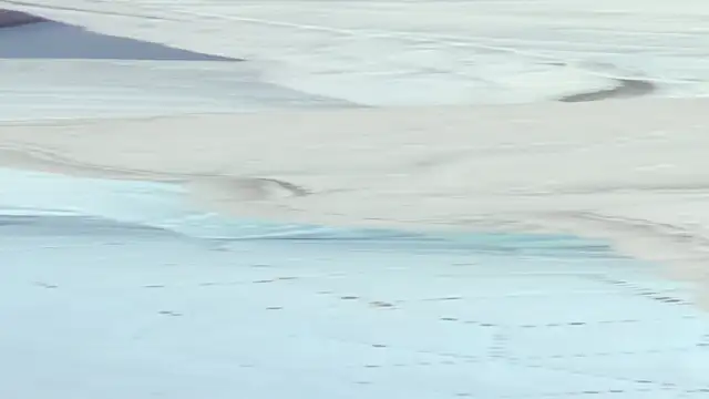 crystal sm online show from 18, 9, 2025