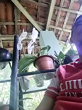 Snapshot of Boragozarvem chatting on 7, 10, 2025 Boragozarvem online show from 7, 10, 2025