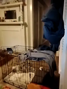 hugenicecock7979 online show from 2, 10, 2025