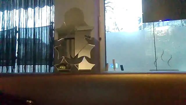 ARTANIS20 online show from 1, 2, 2026