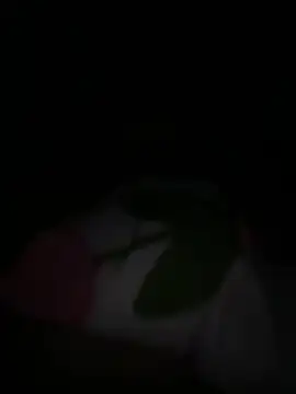 Snapshot of tarantan1993 chatting on 5, 3, 2026 tarantan1993 online show from 5, 3, 2026