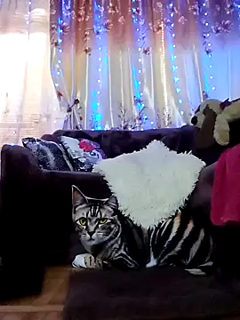 SquirtMilf00 online show from 18, 2, 2025