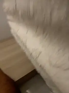 DoctorArabe3 online show from 12, 2, 2026