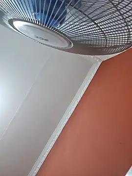 mojaymort online show from 7, 2, 2026