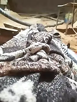 ParousFlow online show from 11, 10, 2025