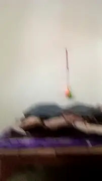 Guriya0076 online show from 23, 2, 2026