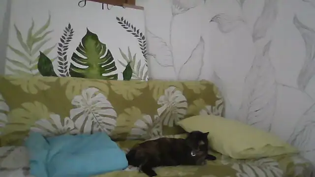 Catty Lady online show from 27, 9, 2025