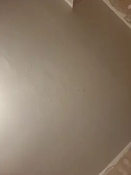 gazb90 online show from 9, 4, 2026