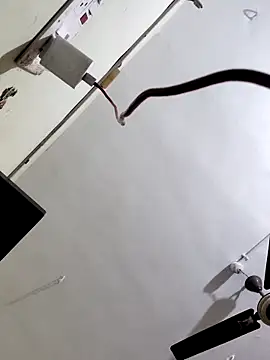 papukurty online show from 7, 10, 2025