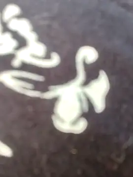 Snapshot of papukurty chatting on 22, 2, 2026 papukurty online show from 22, 2, 2026