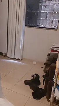 Urso Nerd online show from 24, 4, 2026