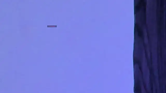 Eva cutte online show from 19, 2, 2026