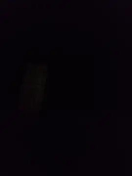 silvaa89 online show from 2, 12, 2025