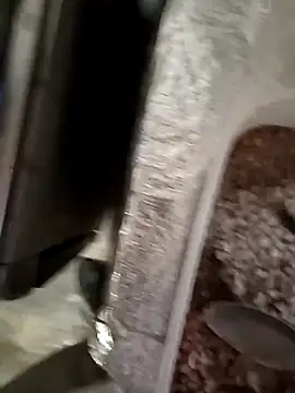 Snapshot of hotbbhot chatting on 14, 10, 2025 hotbbhot online show from 14, 10, 2025