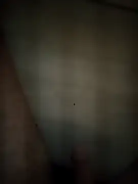 Patressssss online show from 18, 4, 2026