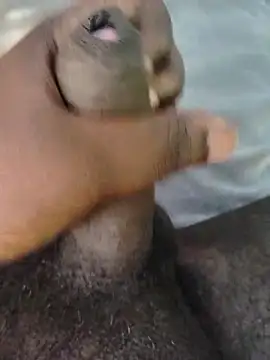 Saikishore00000 online show from 9, 3, 2026