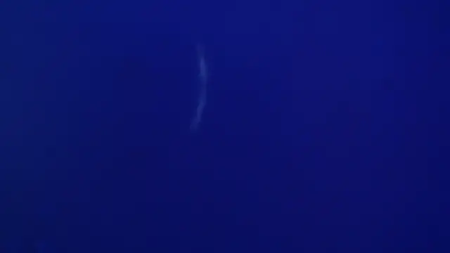 The1BBC online show from 12, 2, 2026