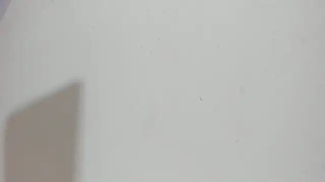 Sophia Ebony online show from 15, 5, 2026