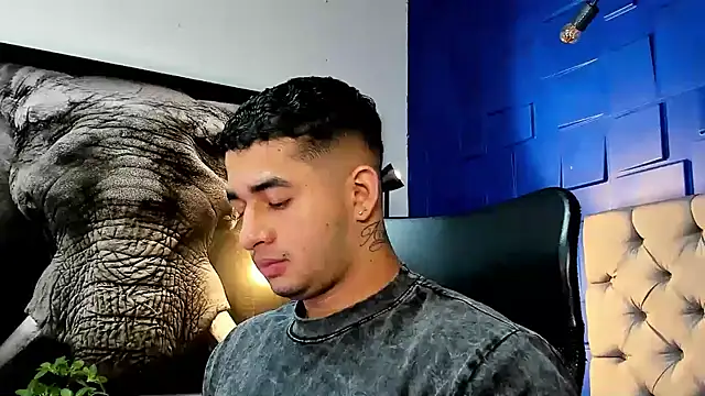 king falconer online show from 25, 11, 2025