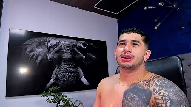 king falconer online show from 6, 1, 2026