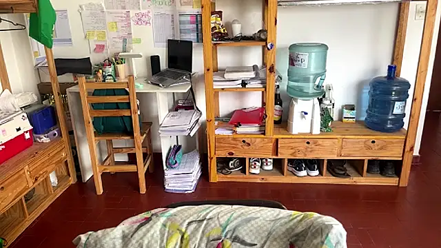 Haustin202 online show from 11, 11, 2025