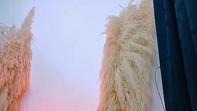 JulietaDavis online show from 20, 2, 2026