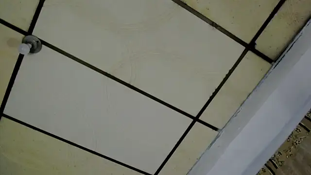 AlaskaFlowers  online show from 12, 9, 2025