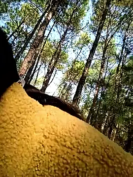 chengcheng12 online show from 25, 11, 2025