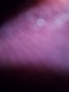 only-injoy online show from 8, 3, 2026