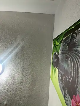 aavrdvh33 online show from 3, 2, 2026