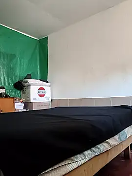 Tinh0t online show from 15, 11, 2025