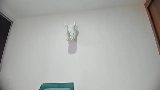 Snapshot of Dagoti chatting on 31, 1, 2026 Dagoti online show from 31, 1, 2026